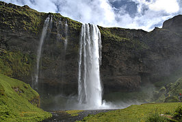 DSC01521 -1_t.jpg